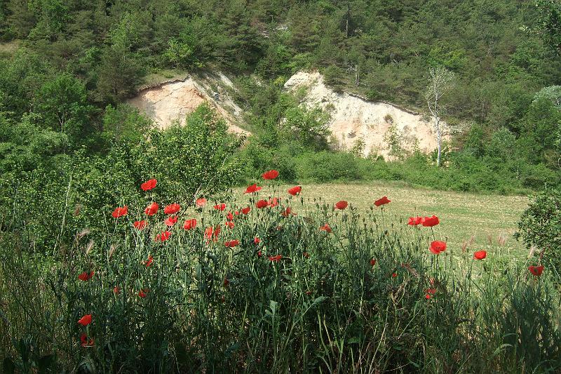 2011-05- (1393).JPG
